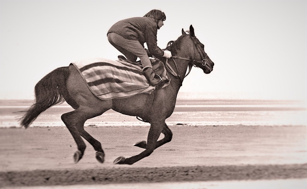 Horse Rider Fast Profile For RiderCise